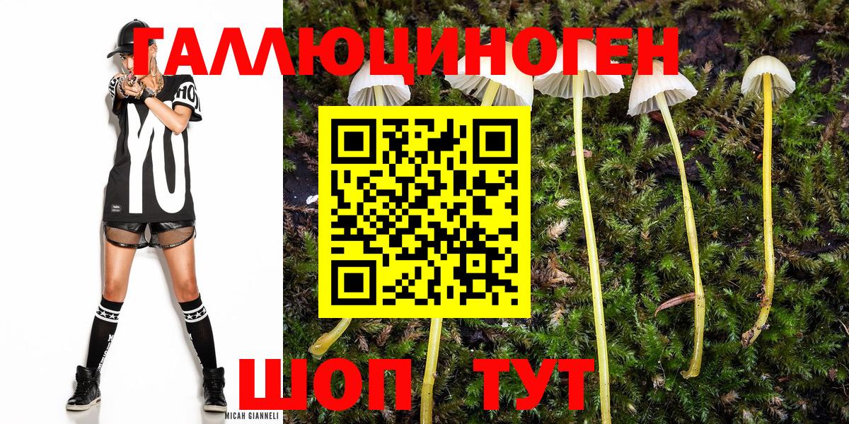 Лангепас  Галлюциногенные грибы прущие грибы  Вход с VPN 